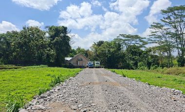 Tanah Jogja Area Kampus UII, View Sawah dan Gunung Merapi