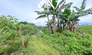 Jual Tanah Wonosobo Andongsili Pinggir Jalan View Indah