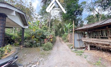 Jual Tanah Pakem Bonus Rumah dan Kandang Ayam