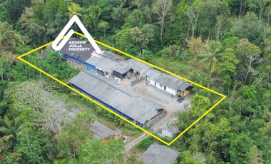 Jual Tanah Pakem Bonus Rumah dan Kandang Ayam