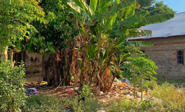 Tanah pinggir jalan Cakranegara cocok untuk kantor atau gudang