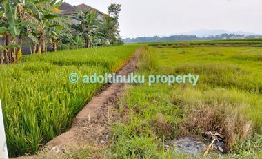 Tanah 3650 m² lebar muka 40 m di banyakan, mertoyudan, magelang
