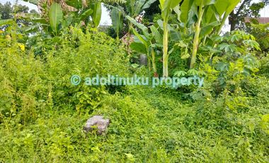 Tanah 120 m² lebar muka 12 m di saragan, mertoyudan, magelang