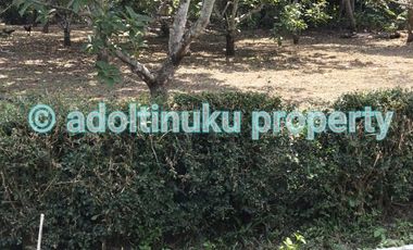 Tanah 538 m² lebar muka 12 m di mertoyudan, magelang