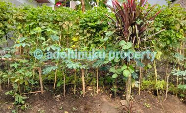 Tanah 114 m² lebar muka 7 m di nepak, mertoyudan, magelang