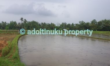 Tanah 1370 m² di mendut, mungkid, magelang