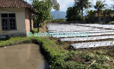 Tanah murah 1090 m² lebar muka 15 m di rambeanak, mungkid, magelang
