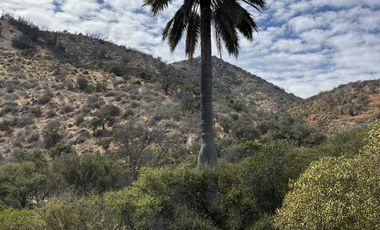 Casa en venta en QUILLOTA