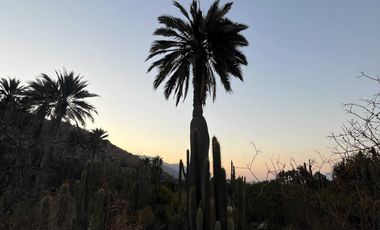 Casa en venta en QUILLOTA