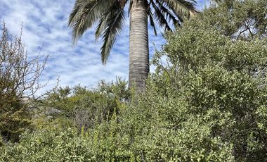 Casa en venta en QUILLOTA