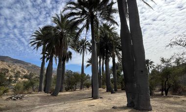 Casa en venta en QUILLOTA