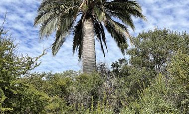 Casa en venta en QUILLOTA