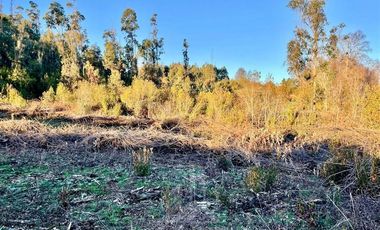 Parcela en Venta en COD39142 ¡¡¡Habiter 360!!! Vende parcela de 10.000 m2 en Fundo Catrimaitén