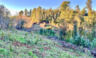 Parcela en Venta en COD39142 ¡¡¡Habiter 360!!! Vende parcela de 10.000 m2 en Fundo Catrimaitén