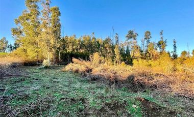 Parcela en Venta en COD39142 ¡¡¡Habiter 360!!! Vende parcela de 10.000 m2 en Fundo Catrimaitén