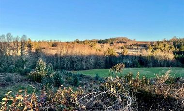 Parcela en Venta en COD39142 ¡¡¡Habiter 360!!! Vende parcela de 10.000 m2 en Fundo Catrimaitén