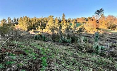 Parcela en Venta en COD39142 ¡¡¡Habiter 360!!! Vende parcela de 10.000 m2 en Fundo Catrimaitén