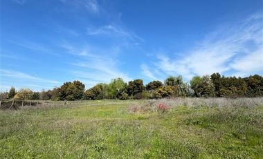 Parcela en Venta en Loteo San Pedreo