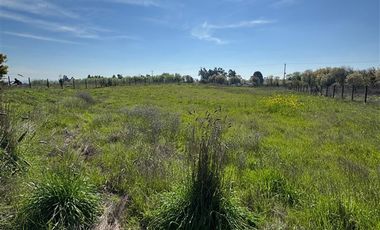 Parcela en Venta en Loteo San Pedreo