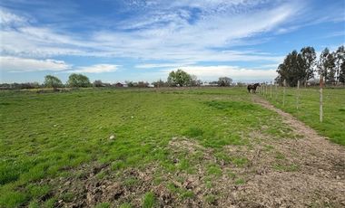 Parcela en Venta en PARCELA SECTOR PROVIDENCIA, TALCA