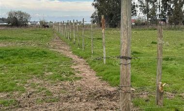 Parcela en Venta en PARCELA SECTOR PROVIDENCIA, TALCA