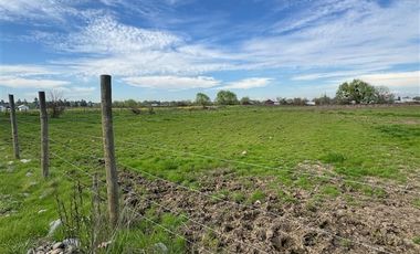 Parcela en Venta en PARCELA SECTOR PROVIDENCIA, TALCA