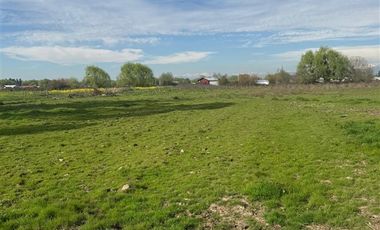 Parcela en Venta en PARCELA SECTOR PROVIDENCIA, TALCA