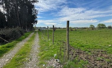Parcela en Venta en PARCELA SECTOR PROVIDENCIA, TALCA