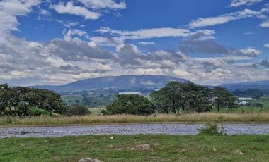 Terreno en venta en Punta bosque residencial