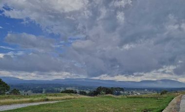 Terreno en venta en Punta bosque residencial