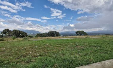 Terreno en venta en Punta bosque residencial