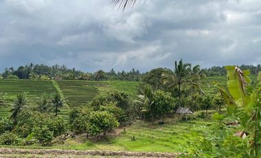 Di jual tanah los sungai dengan view sawah dan gunung