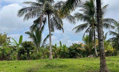 Di jual tanah los sungai dengan view sawah dan gunung