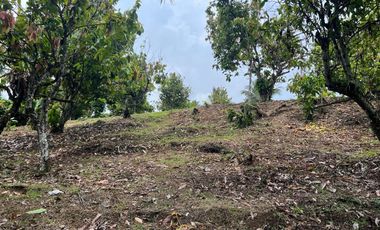 Di jual tanah los sungai dengan view sawah dan gunung