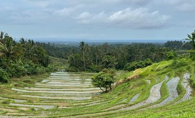 Di jual tanah los sungai dengan view sawah dan gunung