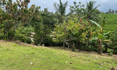 Di jual tanah los sungai dengan view sawah dan gunung