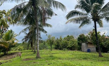 Di jual tanah los sungai dengan view sawah dan gunung