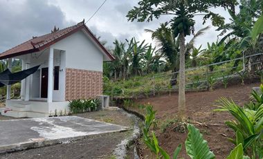 Di jual tanah los sungai dengan view sawah dan gunung