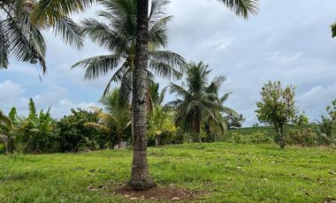 Di jual tanah los sungai dengan view sawah dan gunung