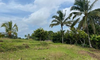 Di jual tanah los sungai dengan view sawah dan gunung