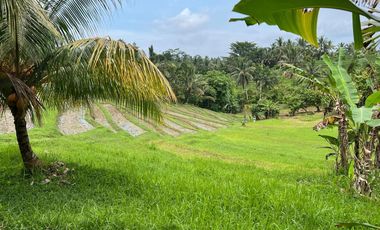 Di jual tanah los sungai dengan view sawah dan gunung
