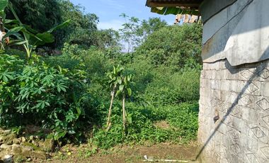 Dijual Murah Rumah + Kebun Produktif 203 m2 di Bojong Purwakarta