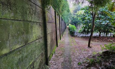 Dijual Murah Rumah + Kebun Produktif 203 m2 di Bojong Purwakarta