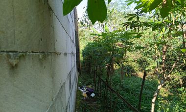 Dijual Murah Rumah + Kebun Produktif 203 m2 di Bojong Purwakarta