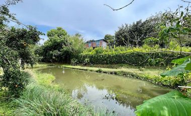 VENTA de CASAS en PEREIRA