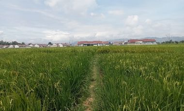 DIJUAL LAHAN SAWAH  LOKASI SEKITAR PERUMAHAN