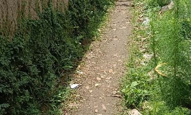 DIJUAL LAHAN SAWAH  LOKASI SEKITAR PERUMAHAN