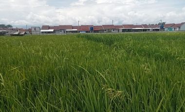 DIJUAL LAHAN SAWAH  LOKASI SEKITAR PERUMAHAN