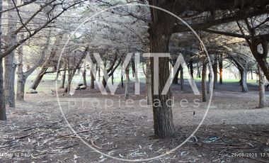 Departamento en Ilimay, Las Cruces