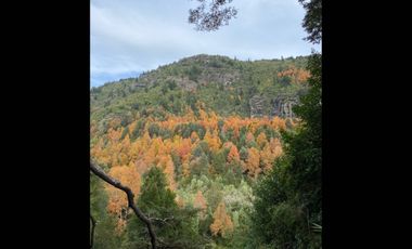 Parcela en venta en TEMUCO